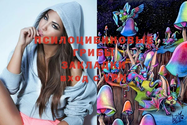 PSILOCYBIN Гусев
