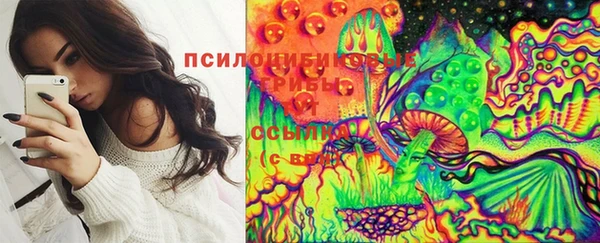 PSILOCYBIN Гусев