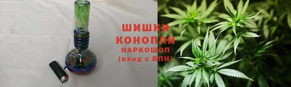 PSILOCYBIN Гусев