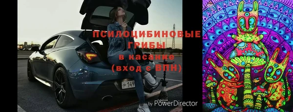 PSILOCYBIN Гусев