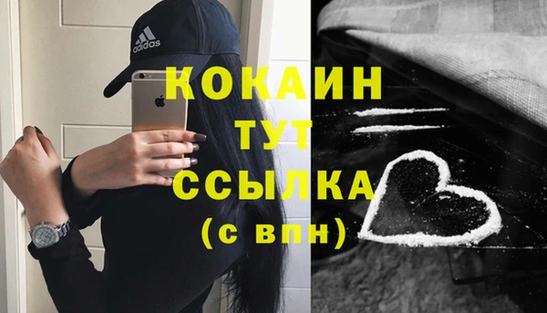 прущие грибы Михайлов