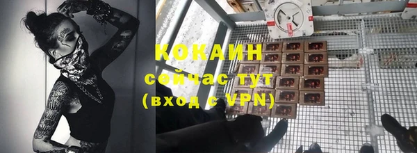 PSILOCYBIN Гусев