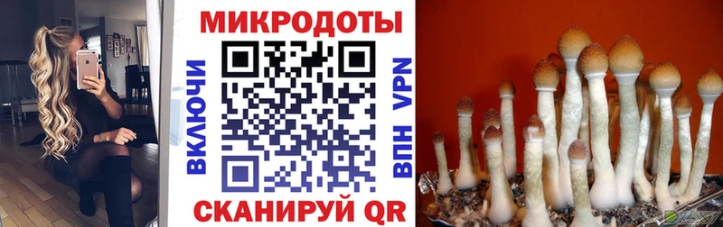 Галлюциногенные грибы Psilocybe  мориарти как зайти  Курган 