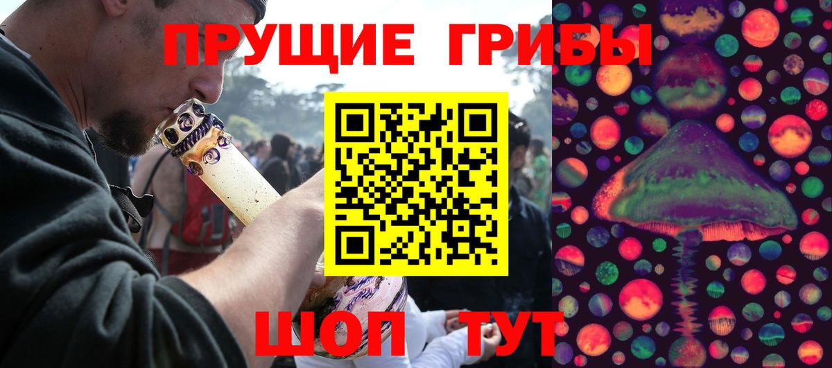 Псилоцибиновые грибы Psilocybine cubensis Курган