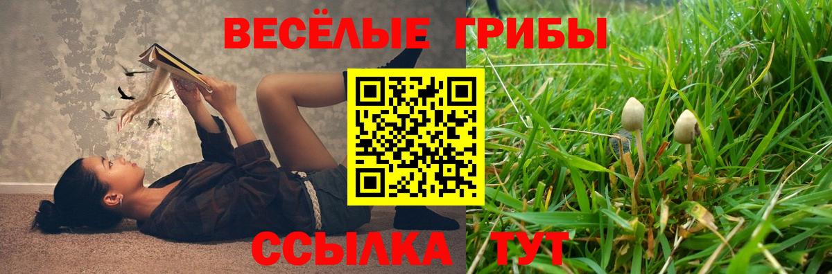 Псилоцибиновые грибы прущие грибы  Вход с VPN  Курган  Псилоцибиновые грибы Magic Shrooms 